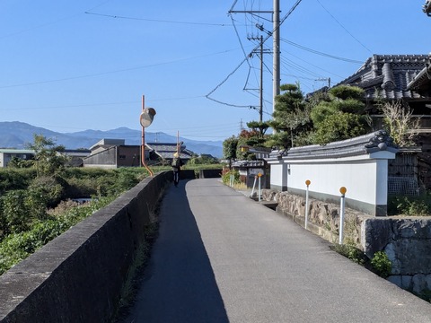 PXL_20241109_004857302