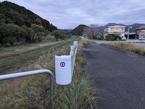 PXL_20241120_213545881