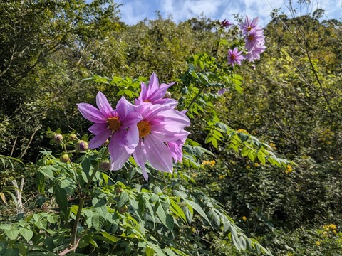 PXL_20251115_010526740