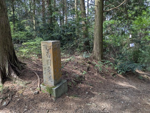 PXL_20250430_044950516