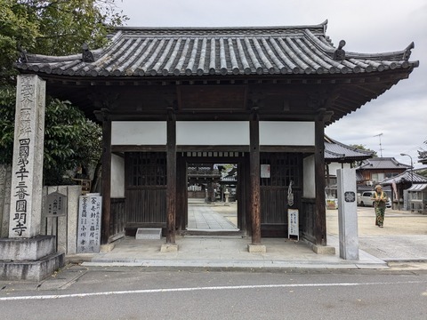 PXL_20241023_052425801