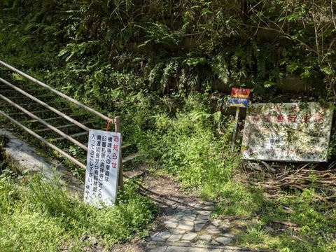 PXL_20250430_000849344