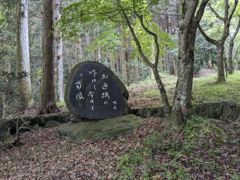 PXL_20240424_045006497