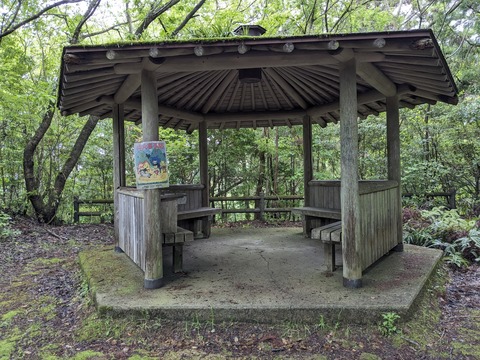 PXL_20240424_013620563