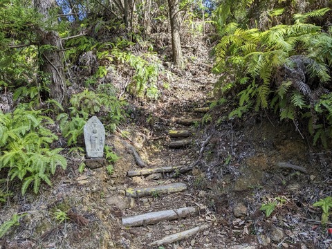 PXL_20240329_232944797