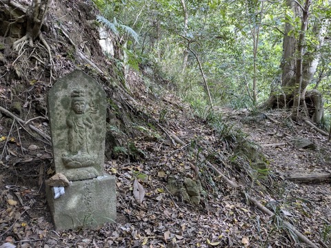 PXL_20251112_040021951