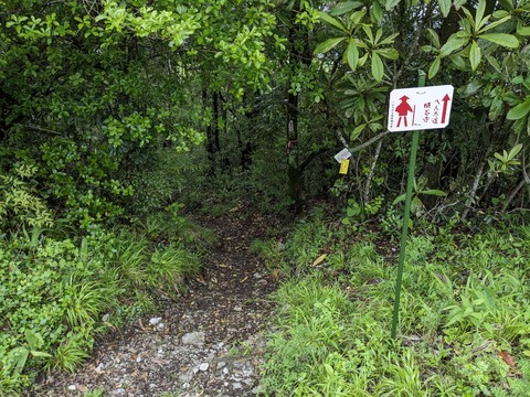 PXL_20240424_020707681