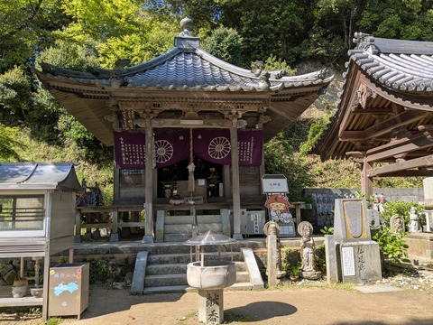 PXL_20250429_000438949