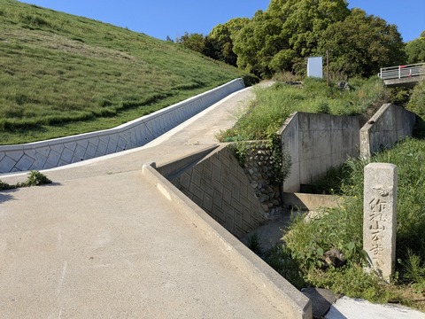 PXL_20250428_231243774