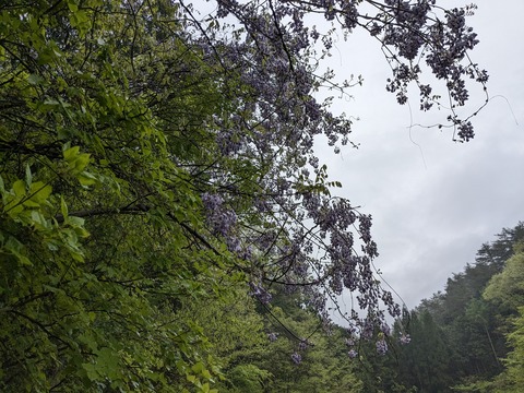 PXL_20240426_231725683