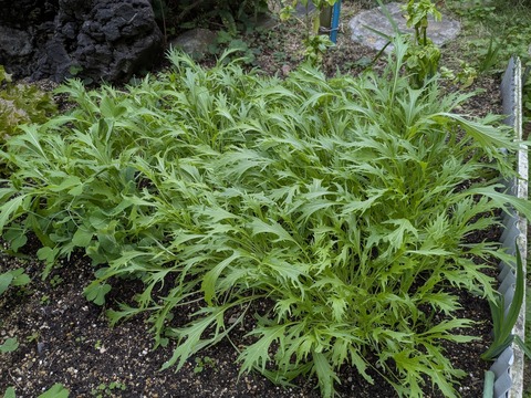 PXL_20251128_070114399