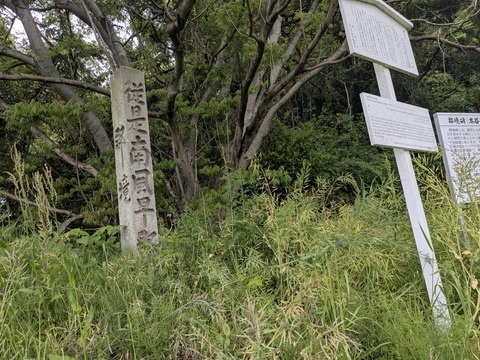 PXL_20250427_222644250