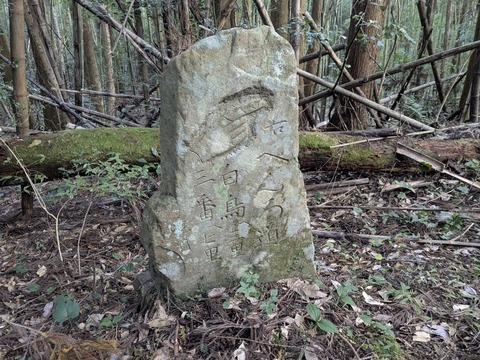 PXL_20251113_233854130