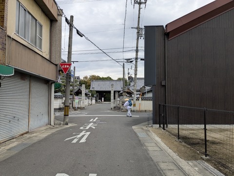 PXL_20251112_223814380