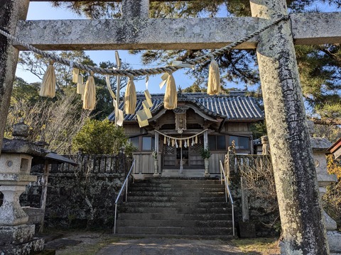 PXL_20241120_054658485