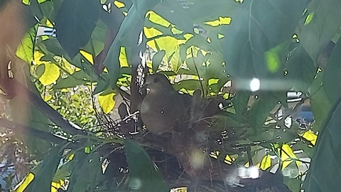 IMG_20220220_125708_614