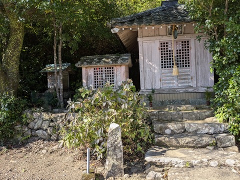 PXL_20241120_022139241