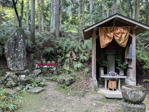 PXL_20241026_053834330