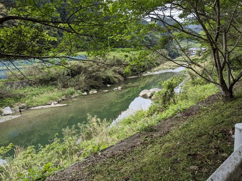 PXL_20240425_235926862