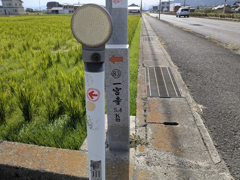 PXL_20251111_030625701