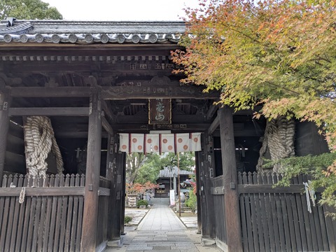 PXL_20251111_050559423