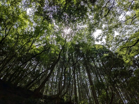 PXL_20240723_034756961