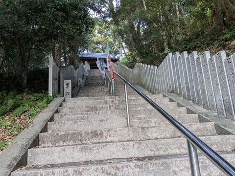 PXL_20241122_065620210