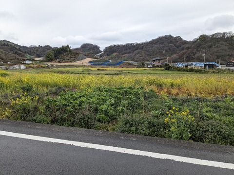 PXL_20240223_013208958