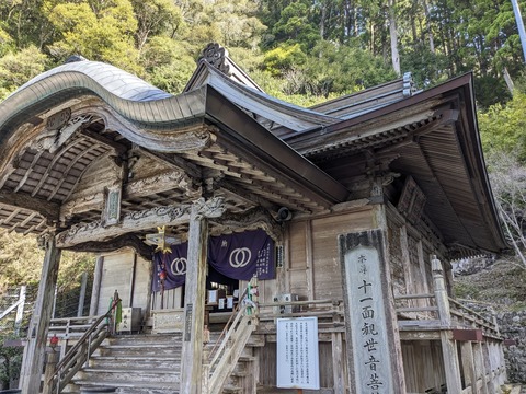 PXL_20240330_001325492