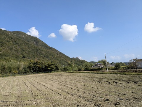 PXL_20251114_021135394