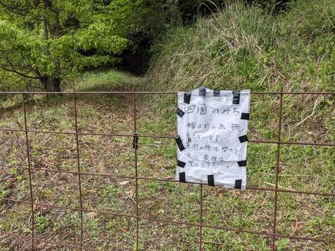 PXL_20240425_220200631