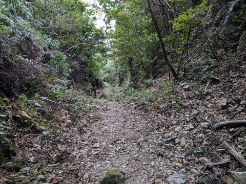 PXL_20241120_221148062