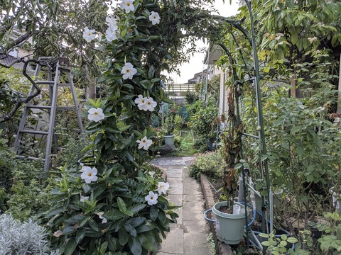 PXL_20251027_054810034