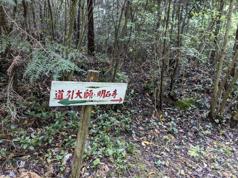 PXL_20240424_021944170