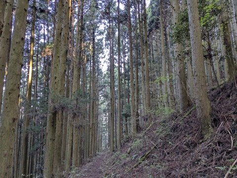 PXL_20250425_223330701