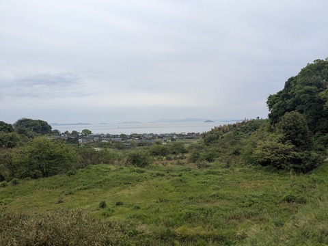 PXL_20250427_222721844