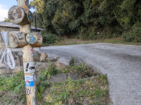 PXL_20251126_042217724