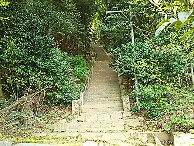 イメージ 47