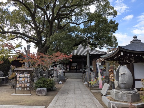 PXL_20251111_044324096