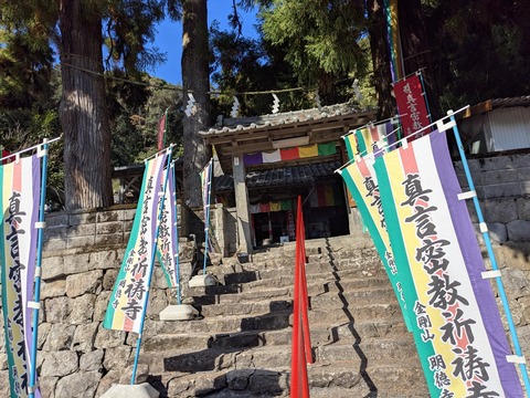 PXL_20251123_034313725