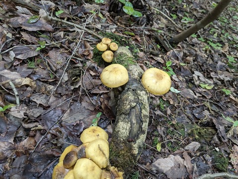 PXL_20240424_023900674