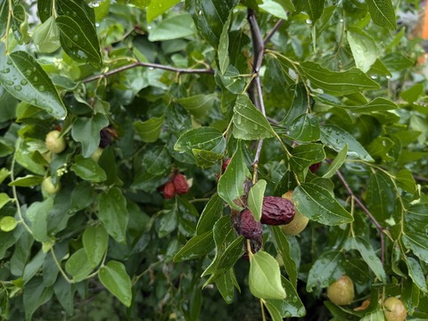 PXL_20240922_015034908