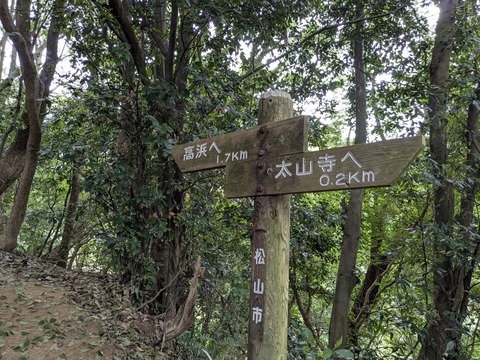 PXL_20250928_023113935