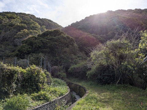 PXL_20240329_000406481