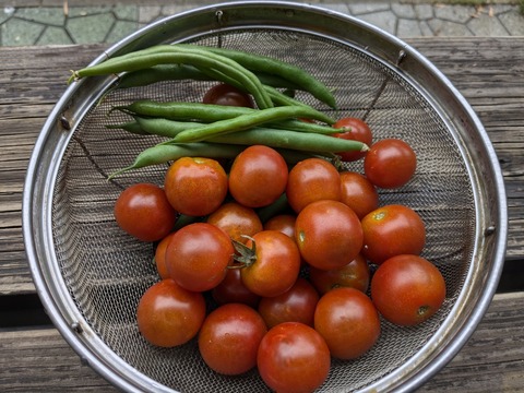 PXL_20240713_002623483