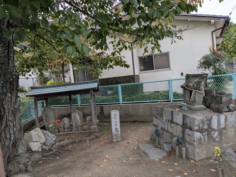 PXL_20251112_014144091