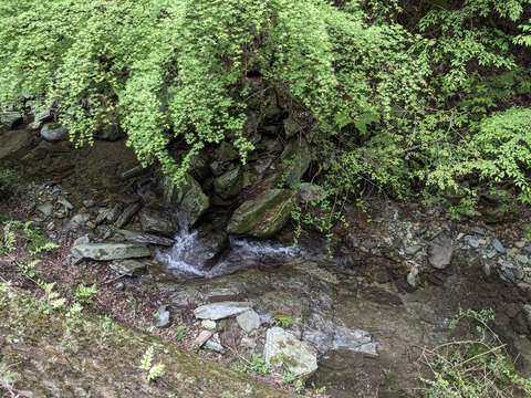 PXL_20240426_045712837