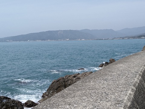 PXL_20240330_033252050