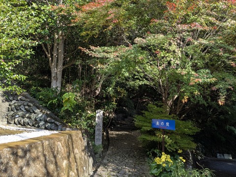 PXL_20251126_051014221