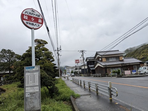 PXL_20240423_023007778